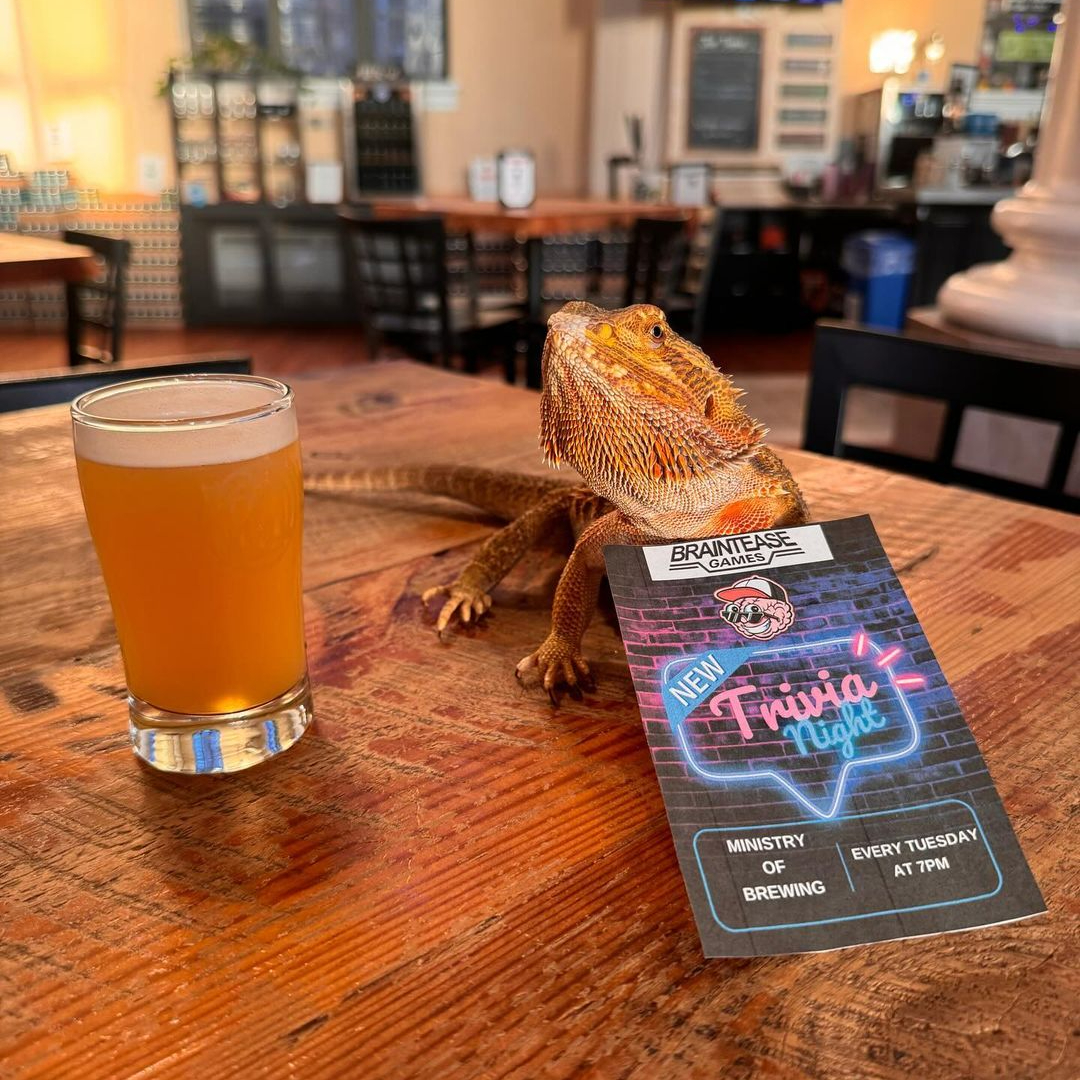Ministry of Brewing photo